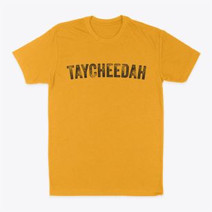 Taycheedah Wisconsin Timeless Retro Classic Dad T-Shirt