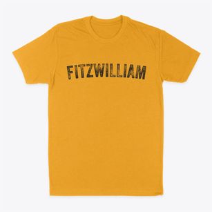 Fitzwilliam New Hampshire Timeless Retro Classic Dad T-Shirt