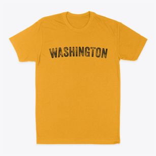 Washington Illinois Timeless Retro Classic Dad T-Shirt
