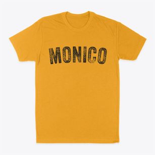 Monico Wisconsin Timeless Retro Classic Dad T-Shirt