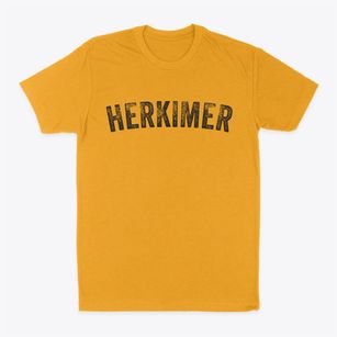 Herkimer New York Timeless Retro Classic Dad T-Shirt