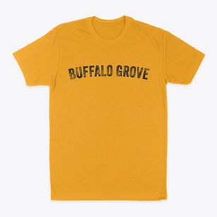 Buffalo Grove Illinois Timeless Retro Classic Dad T-Shirt