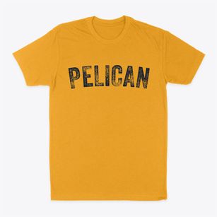 Pelican Wisconsin Timeless Retro Classic Dad T-Shirt