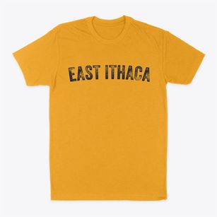 East Ithaca New York Timeless Retro Classic Dad T-Shirt