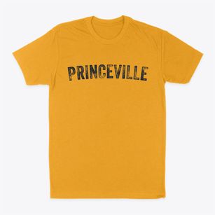 Princeville North Carolina Timeless Retro Classic Dad T-Shirt