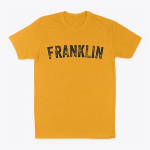 Franklin Indiana Timeless Retro Classic Dad T-Shirt