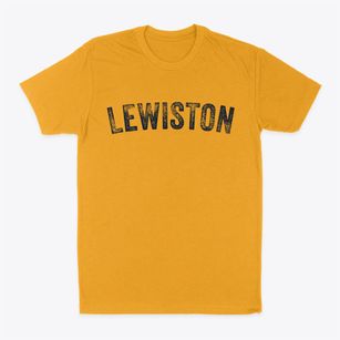 Lewiston New York Timeless Retro Classic Dad T-Shirt