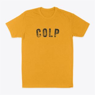 Colp Illinois Timeless Retro Classic Dad T-Shirt