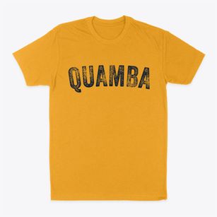 Quamba Minnesota Timeless Retro Classic Dad T-Shirt