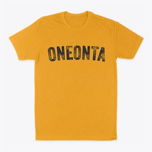 Oneonta New York Timeless Retro Classic Dad T-Shirt