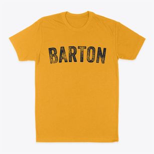 Barton North Dakota Timeless Retro Classic Dad T-Shirt
