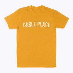 Carle Place New York Timeless Retro Classic Dad T-Shirt