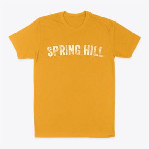 Spring Hill Tennessee Timeless Retro Classic Dad T-Shirt