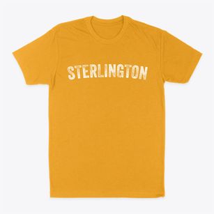 Sterlington Louisiana Timeless Retro Classic Dad T-Shirt