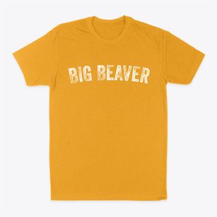 Big Beaver Pennsylvania Timeless Retro Classic Dad T-Shirt