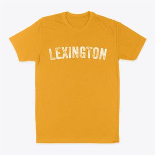 Lexington Oregon Timeless Retro Classic Dad T-Shirt