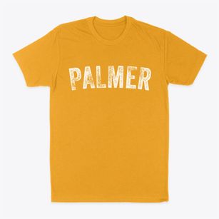 Palmer Iowa Timeless Retro Classic Dad T-Shirt