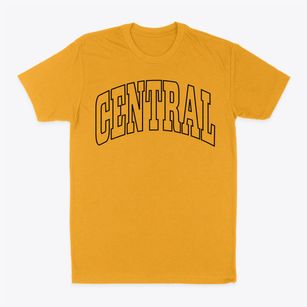 Central South Carolina Trendy Block Classic Dad T-Shirt