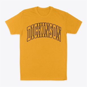 Dickinson New York Trendy Block Classic Dad T-Shirt