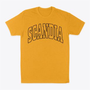 Scandia Minnesota Trendy Block Classic Dad T-Shirt