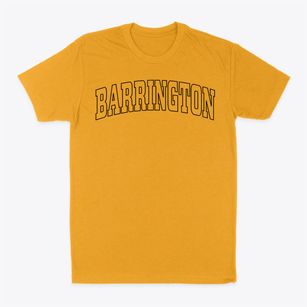 Barrington New York Trendy Block Classic Dad T-Shirt