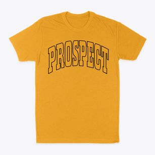 Prospect Ohio Trendy Block Classic Dad T-Shirt