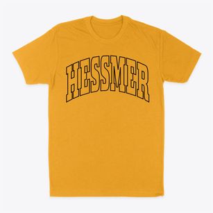 Hessmer Louisiana Trendy Block Classic Dad T-Shirt