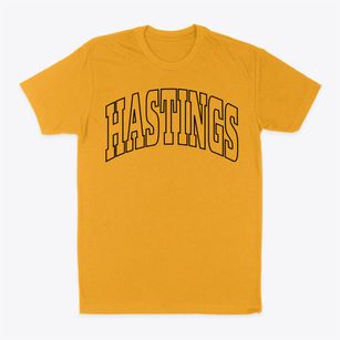 Hastings Florida Trendy Block Classic Dad T-Shirt