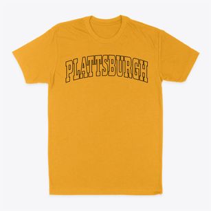 Plattsburgh New York Trendy Block Classic Dad T-Shirt