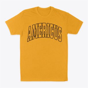 Americus Indiana Trendy Block Classic Dad T-Shirt