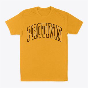 Protivin Iowa Trendy Block Classic Dad T-Shirt