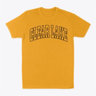 Clear Lake Illinois Trendy Block Classic Dad T-Shirt