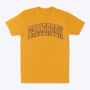 Fallbrook California Trendy Block Classic Dad T-Shirt