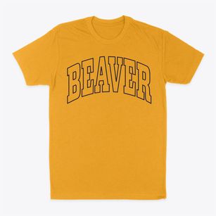 Beaver Wisconsin Trendy Block Classic Dad T-Shirt