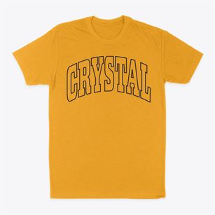 Crystal Minnesota Trendy Block Classic Dad T-Shirt