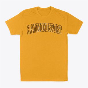 Hammondsport New York Trendy Block Classic Dad T-Shirt