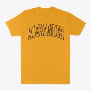 Alexander Maine Trendy Block Classic Dad T-Shirt