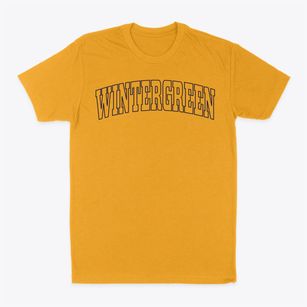 Wintergreen Virginia Trendy Block Classic Dad T-Shirt