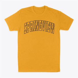 Springview Nebraska Trendy Block Classic Dad T-Shirt