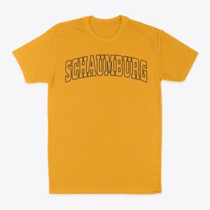 Schaumburg Illinois Trendy Block Classic Dad T-Shirt