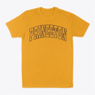 Princeton Texas Trendy Block Classic Dad T-Shirt