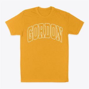 Gordon Nebraska Trendy Block Classic Dad T-Shirt