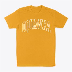 Oquawka Illinois Trendy Block Classic Dad T-Shirt