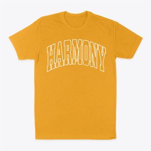 Harmony Rhode Island Trendy Block Classic Dad T-Shirt