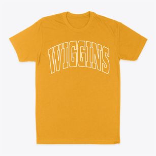 Wiggins Colorado Trendy Block Classic Dad T-Shirt