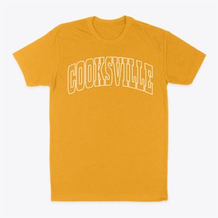 Cooksville Illinois Trendy Block Classic Dad T-Shirt