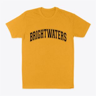 Brightwaters New York Varsity Classic Dad T-Shirt