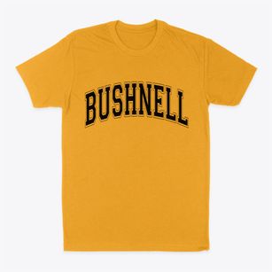 Bushnell Illinois Varsity Classic Dad T-Shirt