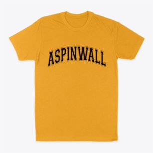 Aspinwall Pennsylvania Varsity Classic Dad T-Shirt