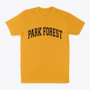 Park Forest Illinois Varsity Classic Dad T-Shirt